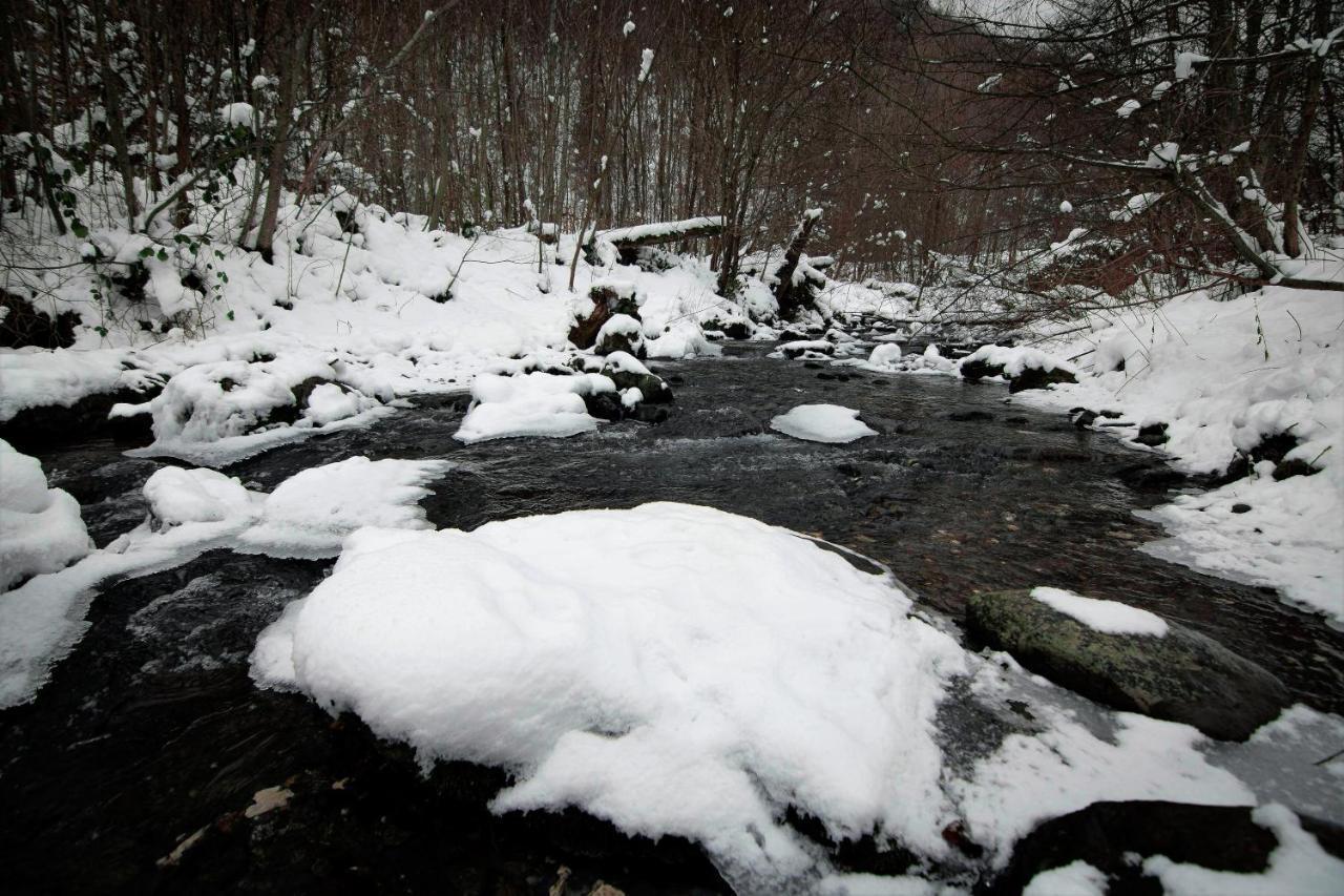 Privilegio 148 Sambata Sîmbăta de Sus Bagian luar foto
